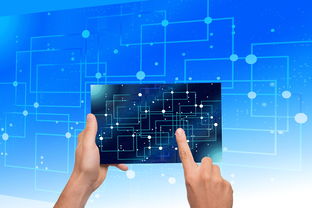 中国篮球教练员专业素养提升路径分析,中国篮球教练员专业素养提升路径分析与实践