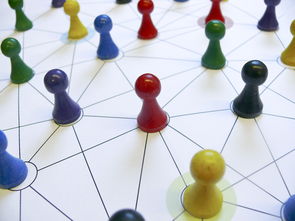 中国篮球教练员专业素养提升路径分析,中国篮球教练员专业素养提升路径分析与实践