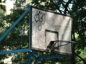 英超球队动态体能管理提升比赛中体力分配,英超球员体能