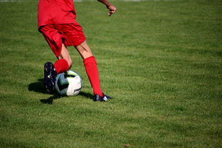 体育新闻中心构建体育赛事全媒体传播体系,体育赛事的媒体宣传需要向媒体经营单位直接支付费用